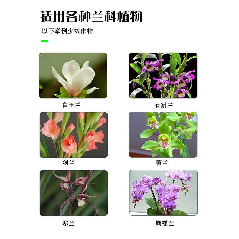 Orchid 兰花 蝴蝶兰 Genuine Lanling King Orchid fertilizer baja orchid Liquid ...