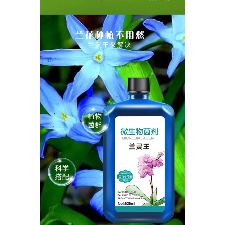Orchid 兰花 蝴蝶兰 Genuine Lanling King Orchid fertilizer baja orchid Liquid ...