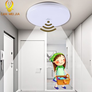 Indoor ceiling mount motion on sale sensor light fixture