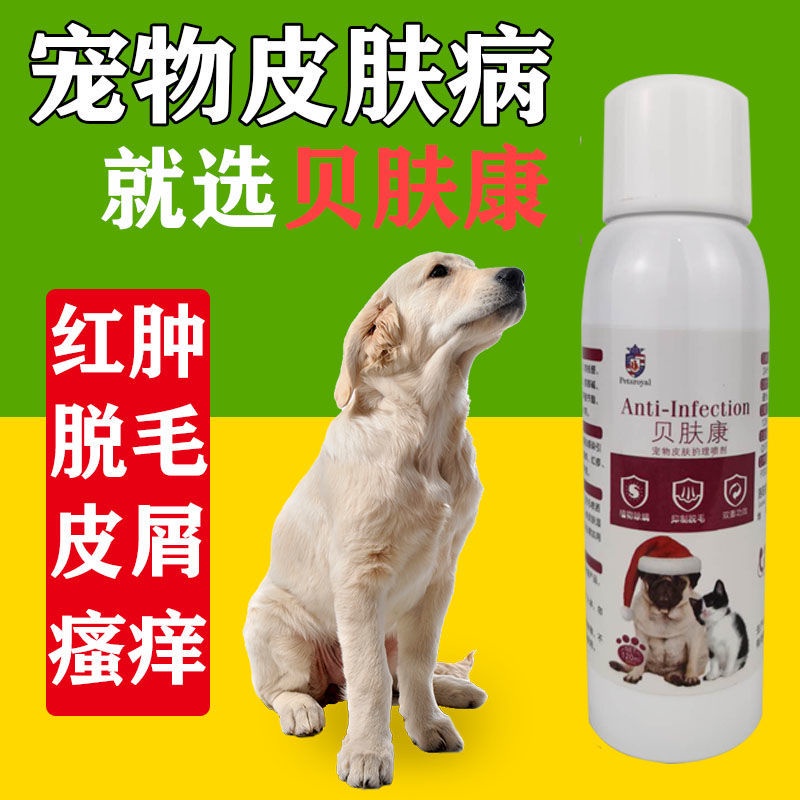 [Not Afraid to Lick] Dog Dermatology Special Effects Medicine Care Hair
