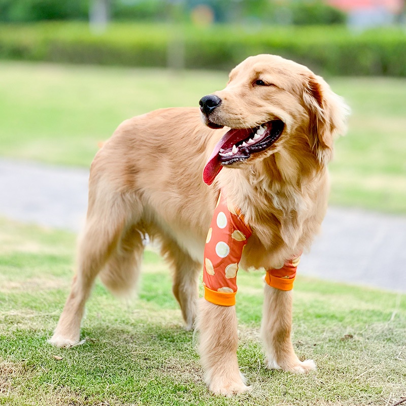 Dog Elbow Brace Protector Front Leg Sleeve AntiLick Wound Shoulder