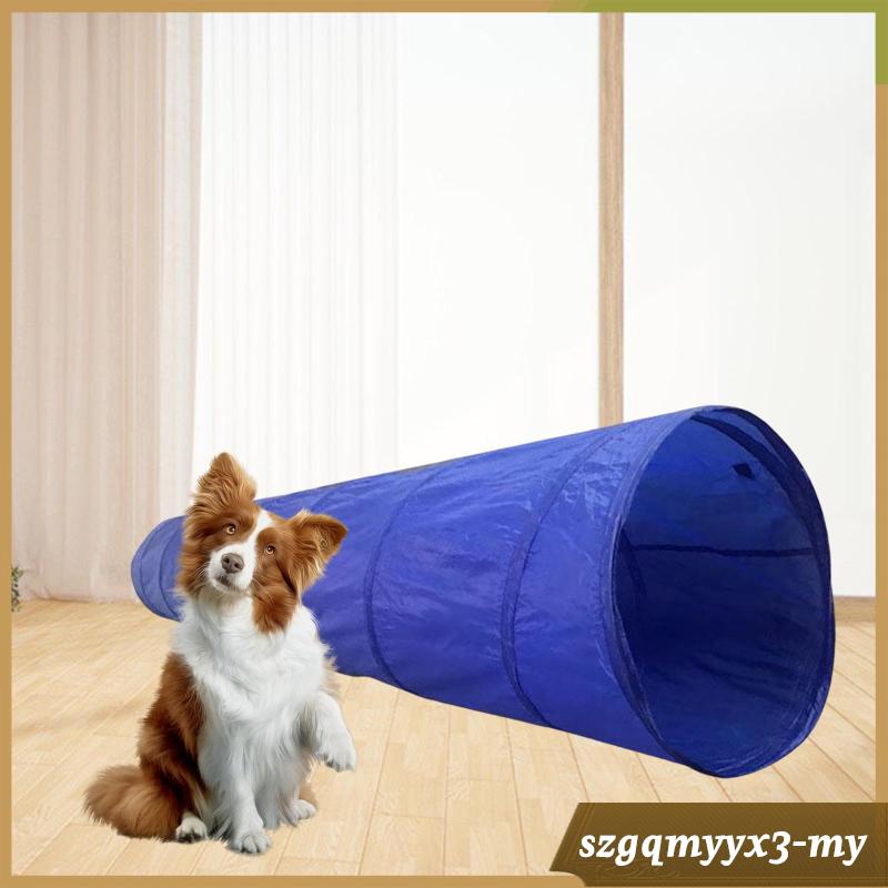 [ Collapsible Dog Agility Training Tunnel Tube Interactive Toys