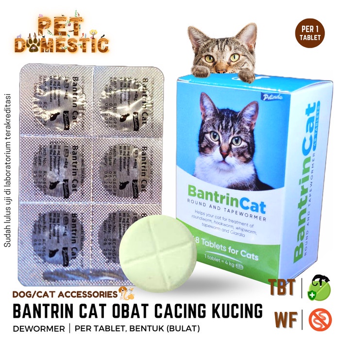 Bantrin DRONTAL CAT DEWORMER CAT DEWORMER PER TABLET KITTEN Shopee