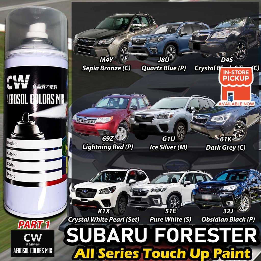 12oz All-In-One Paint & Clear Coat Spray – Ford Silver Birch, JP Code, Gloss Acrylic Urethane, BASF
