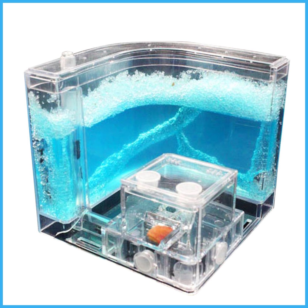 Ant Farm Children Ant Farm Terrarium Kit Ant Farm Gel Sand Ant Colony ...