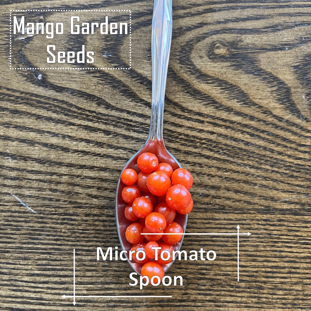 Spoon Micro Tomato Seeds - 3 Seed *Pot Friendly* Tanam Pasu Mini Tomato ...