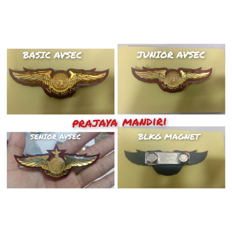 Wings communication BASIC AVSEC | JUNIOR AVSEC | FLEXIBLE AVSEC ...