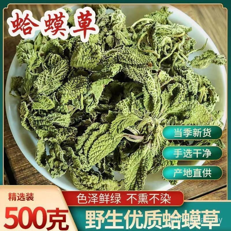 Malay Ready Stock Toad Grass Chinese Herbal Medicine 500g Wild Fresh ...