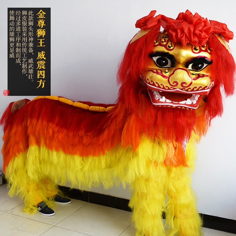 Lion Dance Props Whole Set North Adult Double Head HighEnd Performance Shopee Malaysia