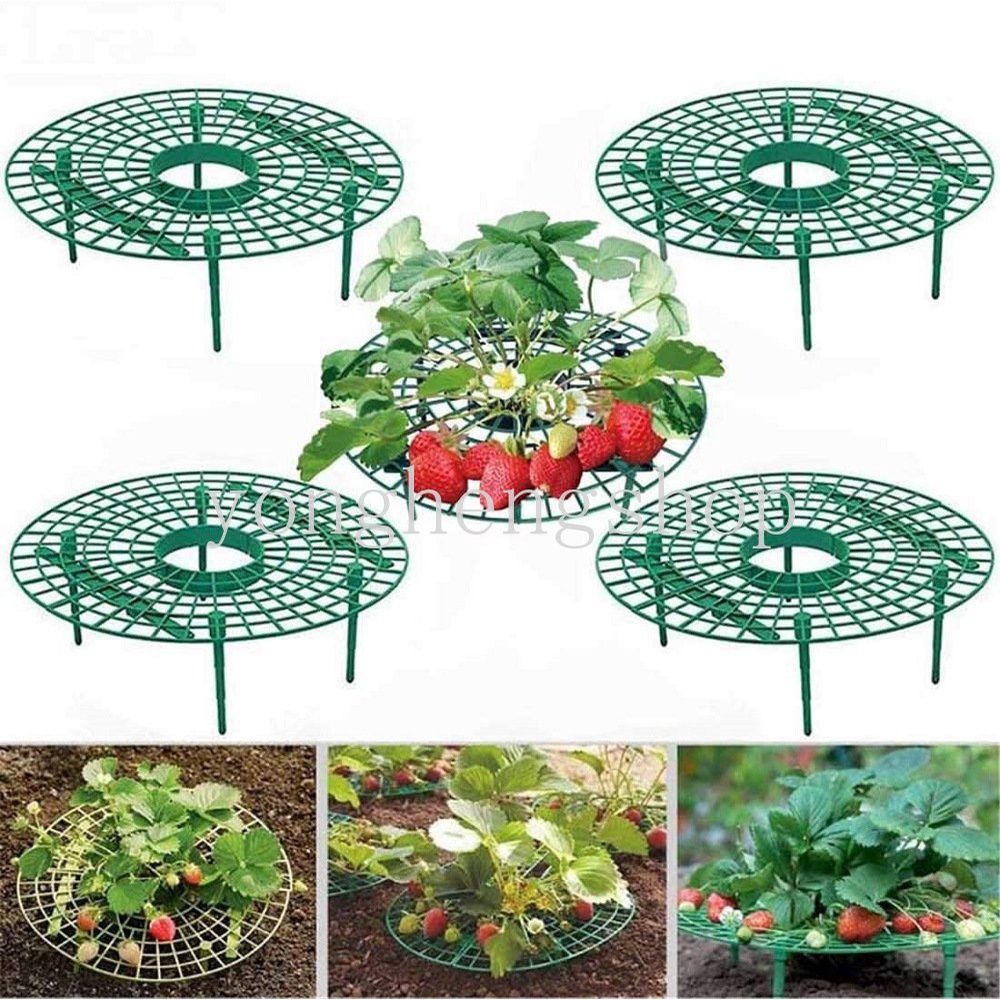 Strawberry Stand Frame Holder Balcony Planting Rack Fruit Support Plant ...