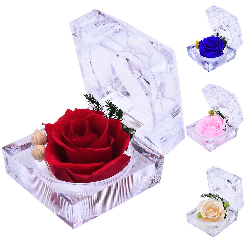 Eternal Real Flower Preserved Rose Valentine's Anniversary Glass Dome ...