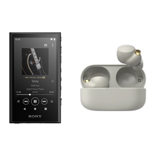 Ready Stock] Sony NW-A306 Walkman Hi-Res MP3 Player + Sony WF