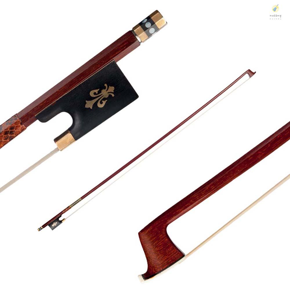 Violin Bow (Pernambuco Bow Stick Black Ebony Frog and Horsetail Bow