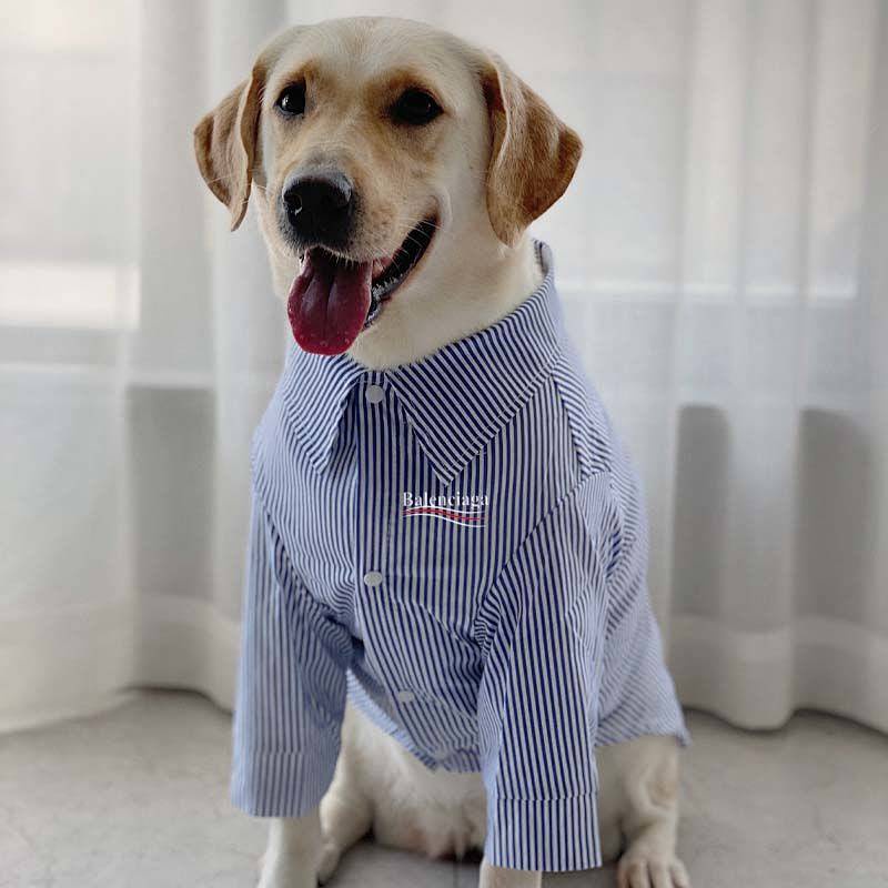 Dog Clothes Large Dog Trendy Brand Spring and Autumn Clothes Labrador