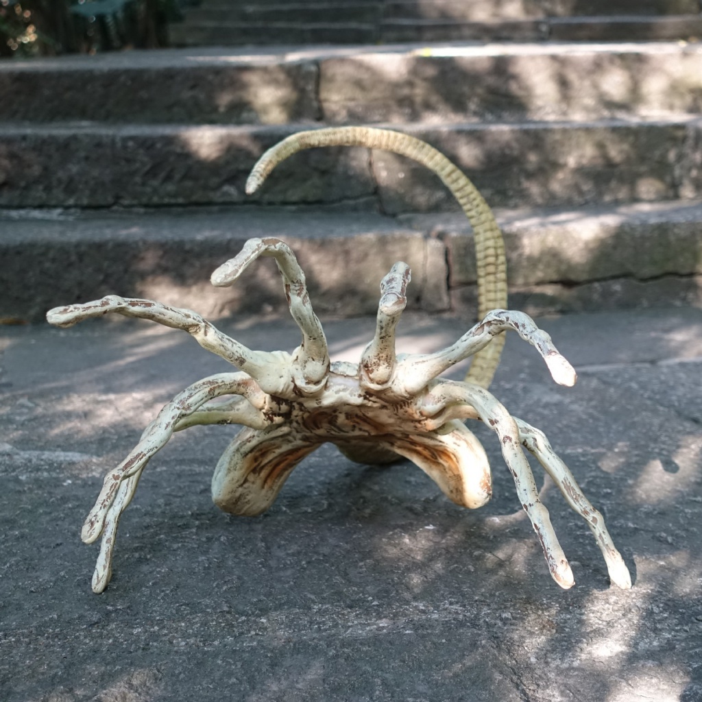 Alien Facehugger 1 1 Model Facehugger Facehugger Facehugger Facehugger