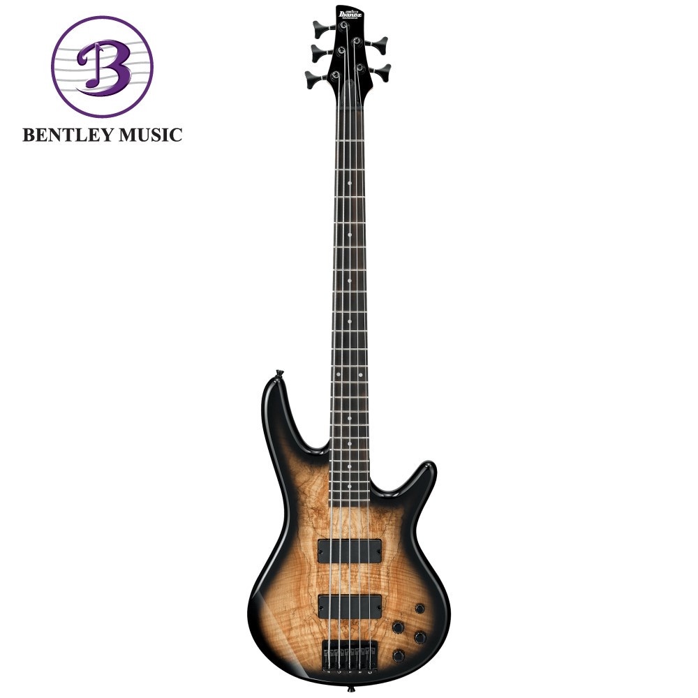 Ibanez Gsr205sm Ngt Gio Sr Series 5 String Electric Bass Natural Gray Burst Shopee Malaysia