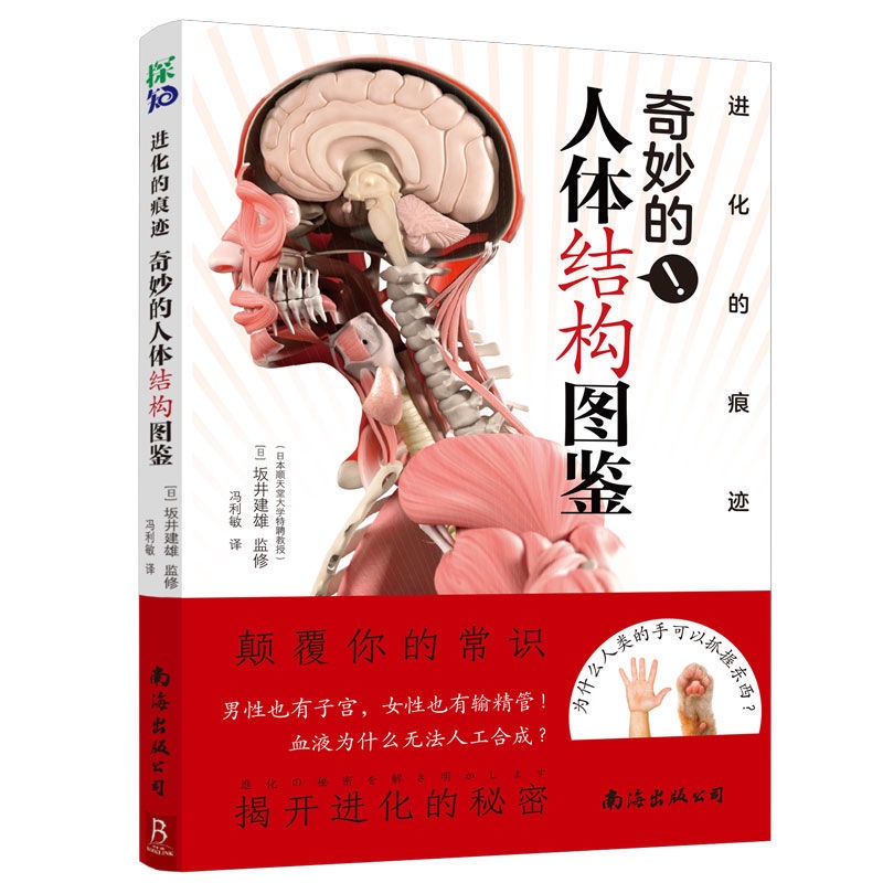 全新3D人体解剖图人体肌肉解剖运动解剖学图谱医书自学入门西医cxb