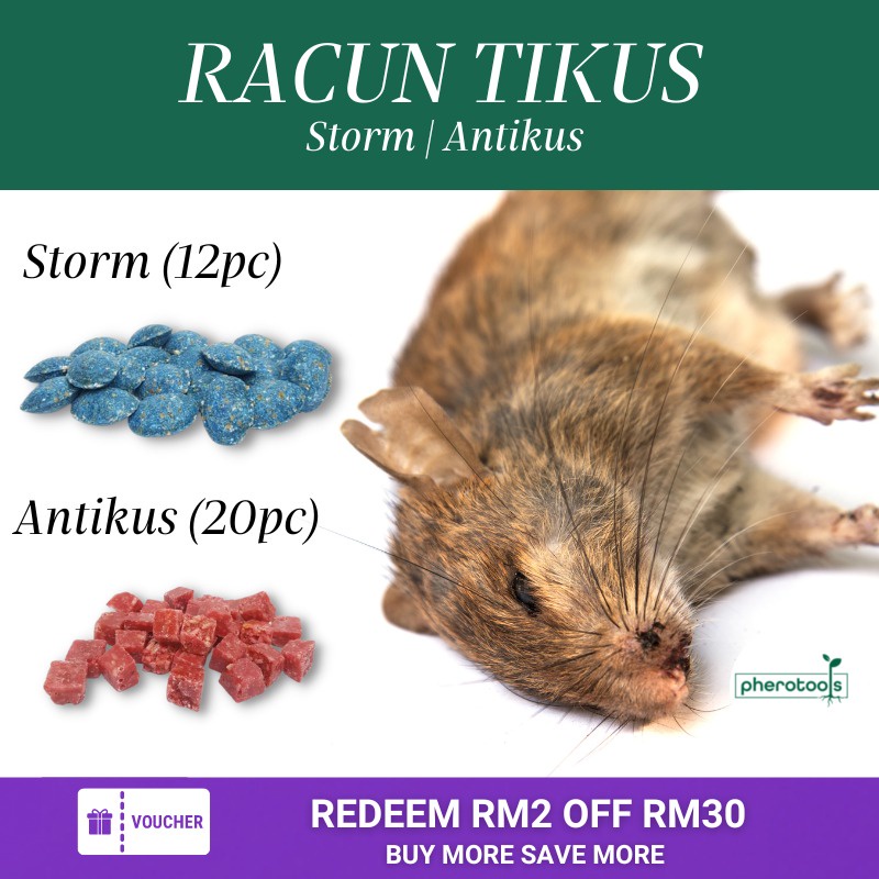 Pherotools Storm Rat & Mouse Bait Block (12pcs) / Antikus (20pcs) Umpan ...