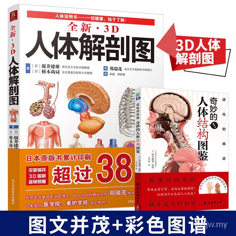 全新3D人体解剖图人体肌肉解剖运动解剖学图谱医书自学入门西医cxb