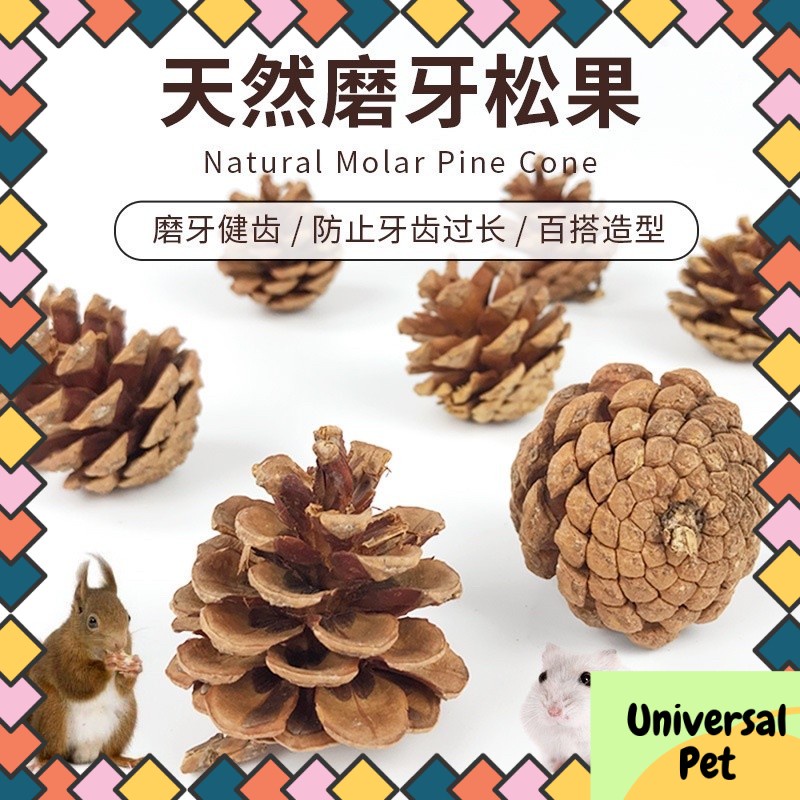 HAMSTER 1pcs Molar Pine Cone Toy Decorations Hamster/sugar glider /Squirrel /Rabbit/Guinea