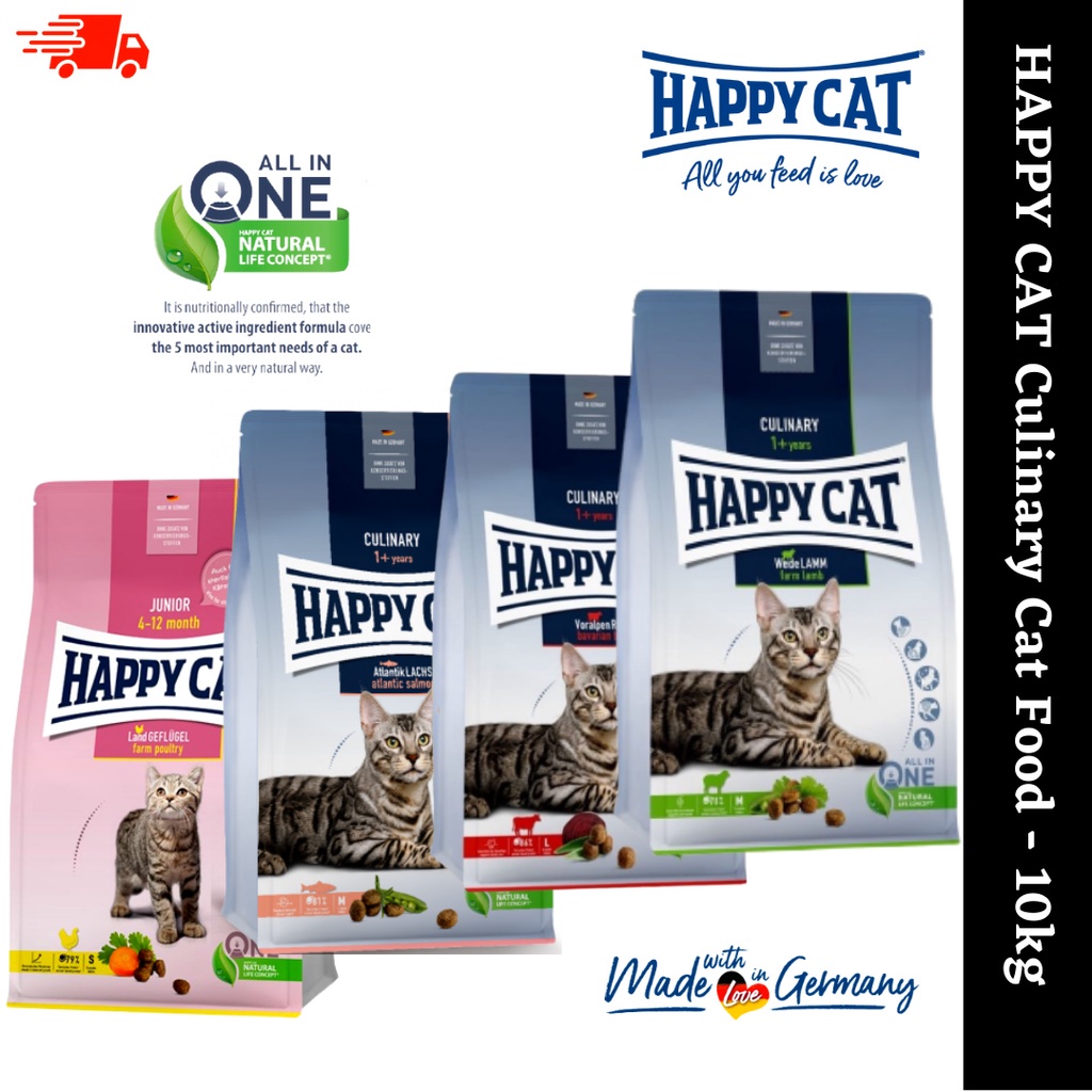 Kindful Cat Food Nourishing Felines with Care