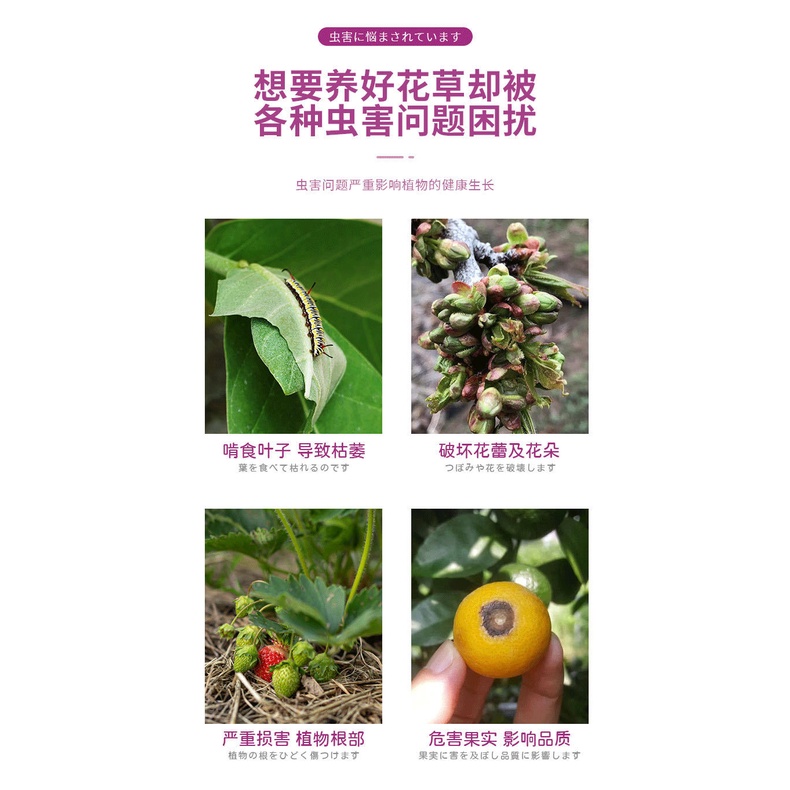 Racun Serangga Tumbuhan Flower Insecticide Garden Plant General ...