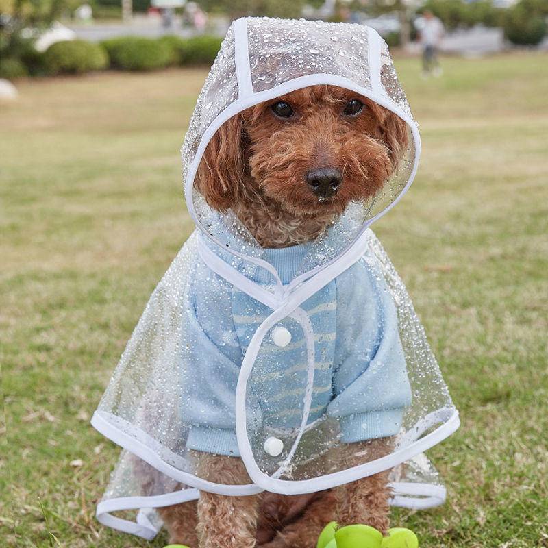 New popular summer pet clothes dog raincoat teddy/Pomeranian