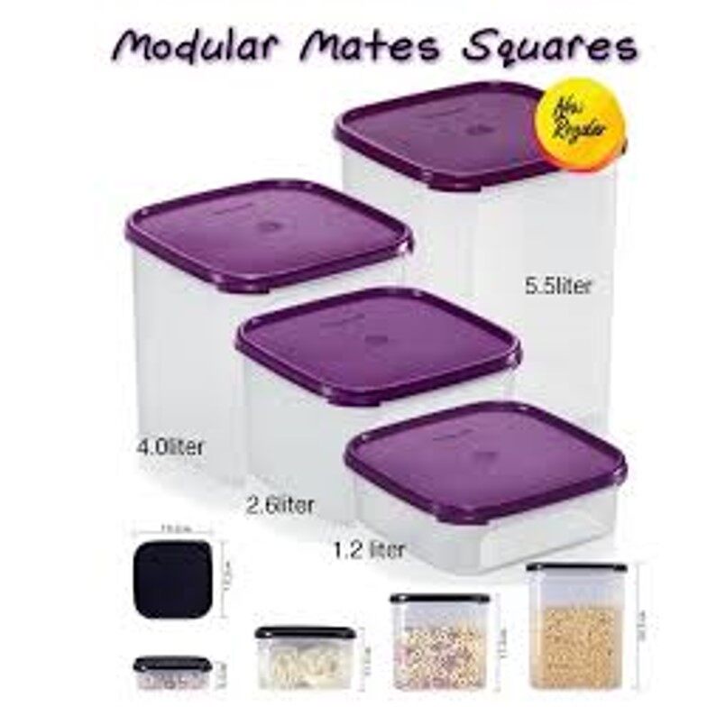 (New Regular)Tupperware Modular Mates Squares (Purple) | Shopee Malaysia