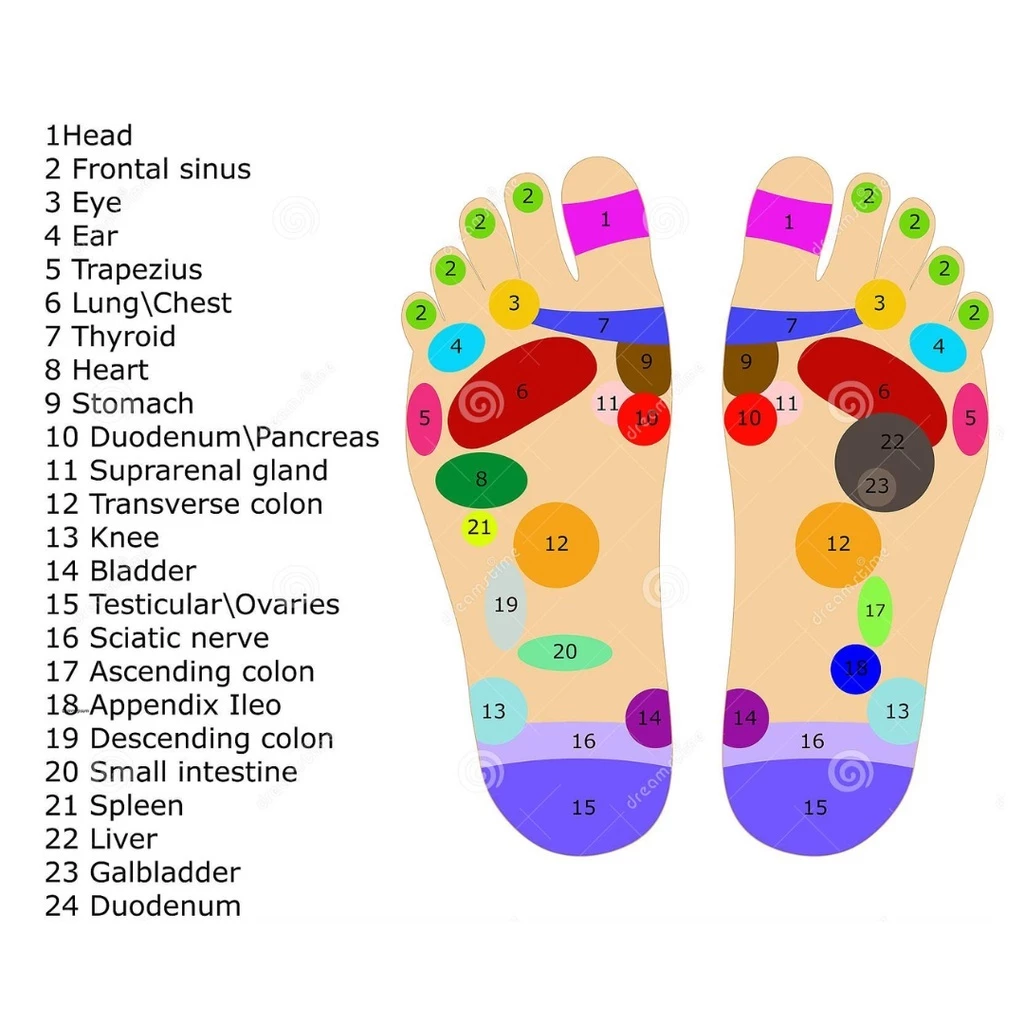 Peta titik reflexology