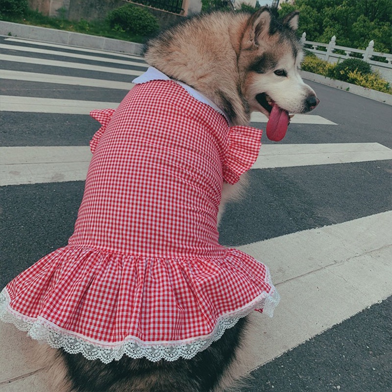Spring Summer Dog Dress Puppy Pet Clothes for Medium Large Dogs Costume  Labrador Golden Retriver Large Dog Dresses | Shopee Malaysia
