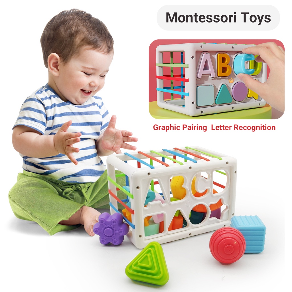 Baby Montessori Toys for 1 Year Old Boy Girl Gifts, Shape Sorter ...