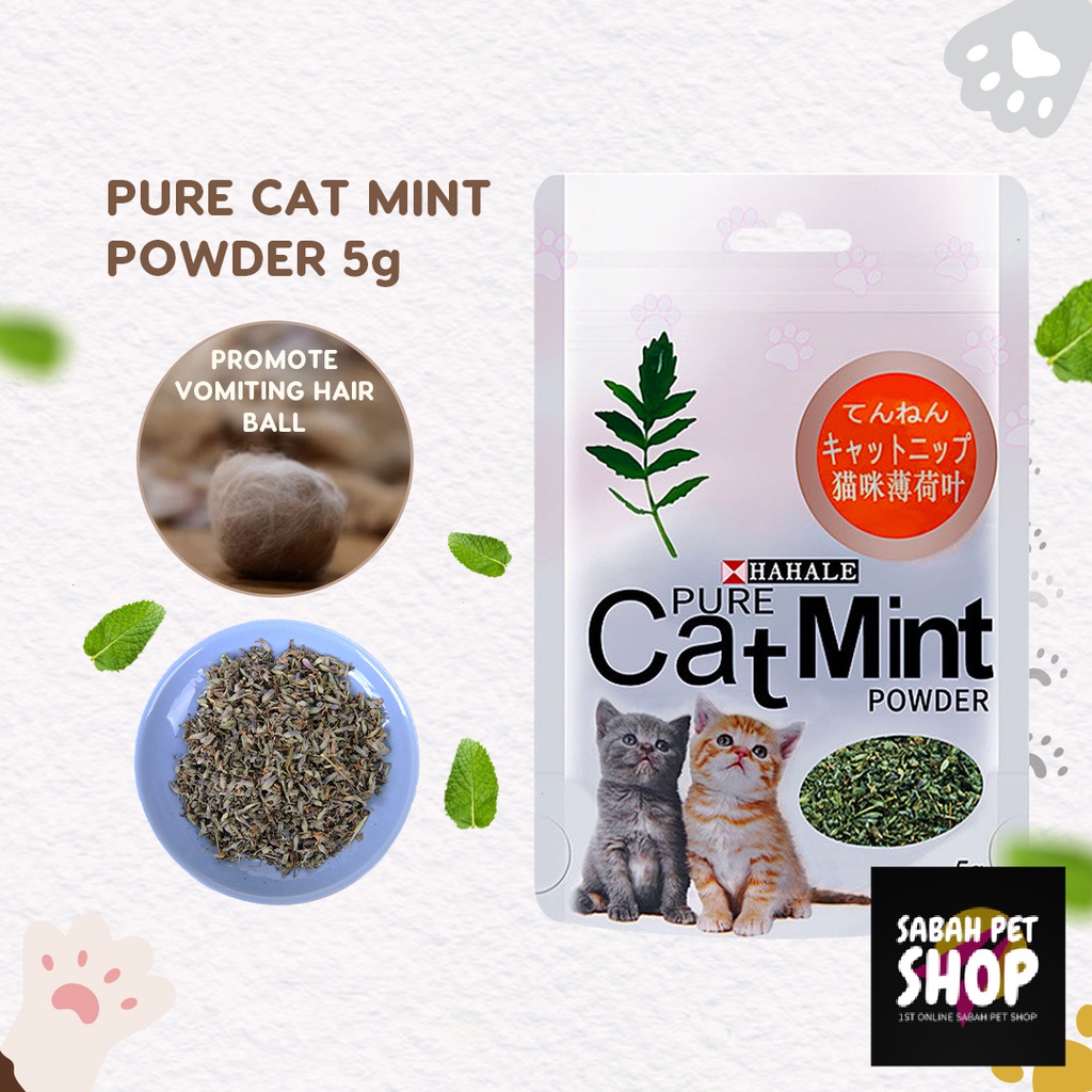 Pure Catmint Powder Organic Premium Catnip Cat Mint Catswort | Pokok ...