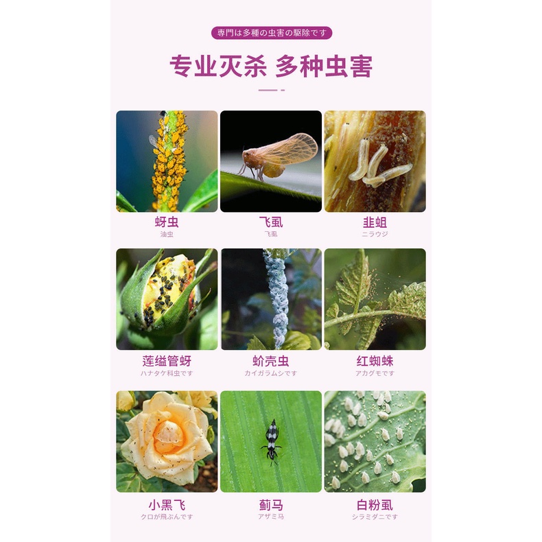 Racun Serangga Tumbuhan Flower Insecticide Garden Plant General ...