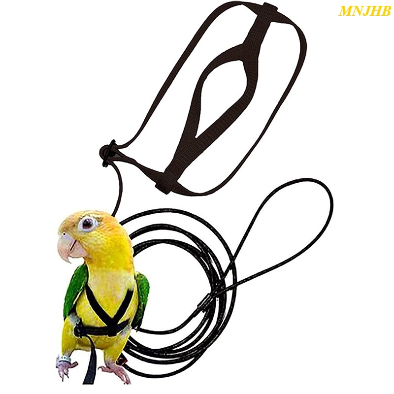 Birds Flying Rope Bird Training Ring Parrot Pigeon Flying Rope Pet ...
