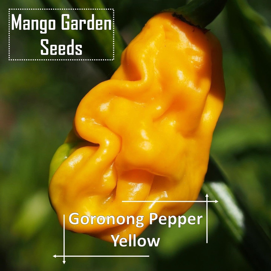 Pepper Seeds Zou-Pi / Shar Pei - Capsicum Chinense - Rare & Delicious ...