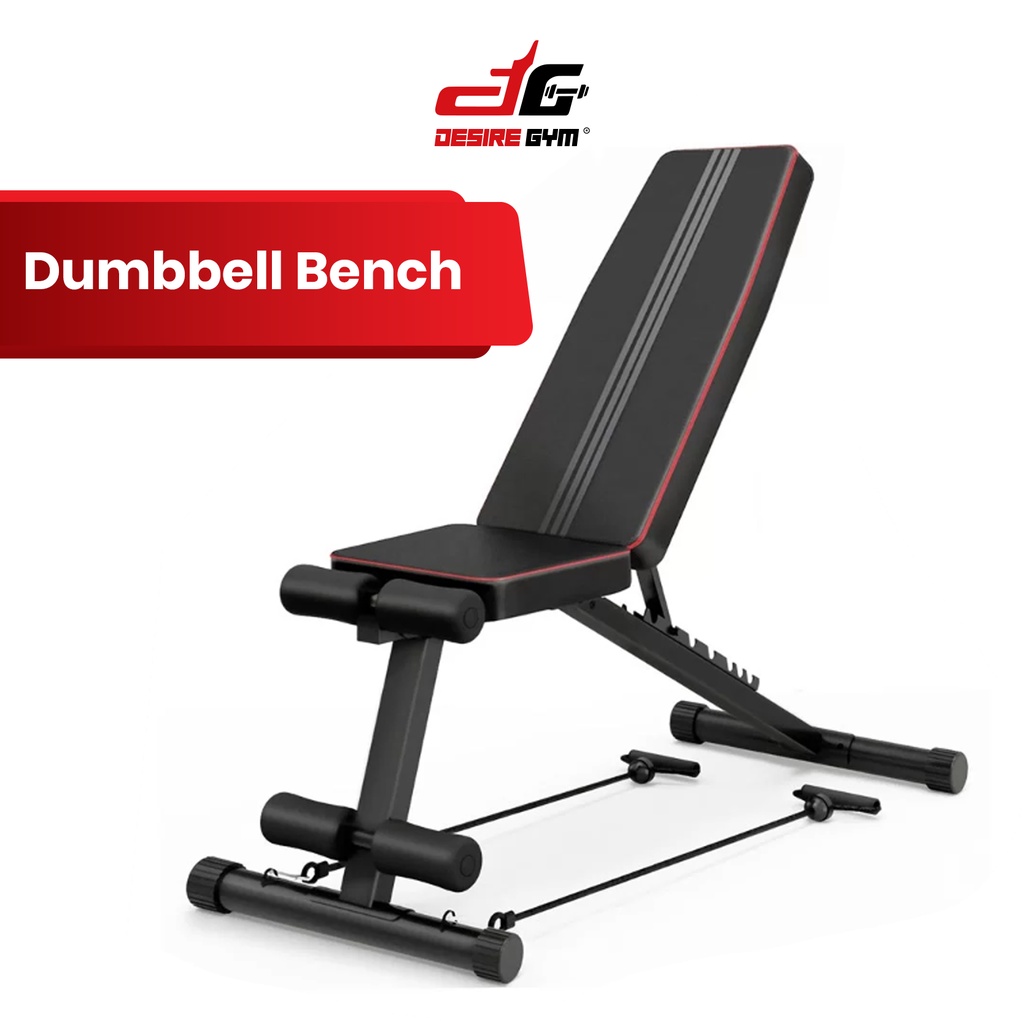 Desire Gym Dumbbell Bench Workout Bench Exercise Chair Adjustable Angle
