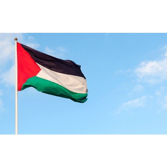 Palestine FLAG/ PALESTINE FLAG/2 SIDED CUSTOM FLAG - COLOR/POP ART ...