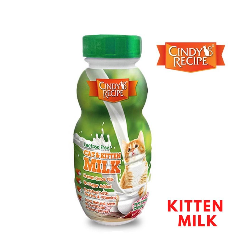Kitten Wet Food Travel Milk 250ml Cindy Recipe Milk Shopee Malaysia