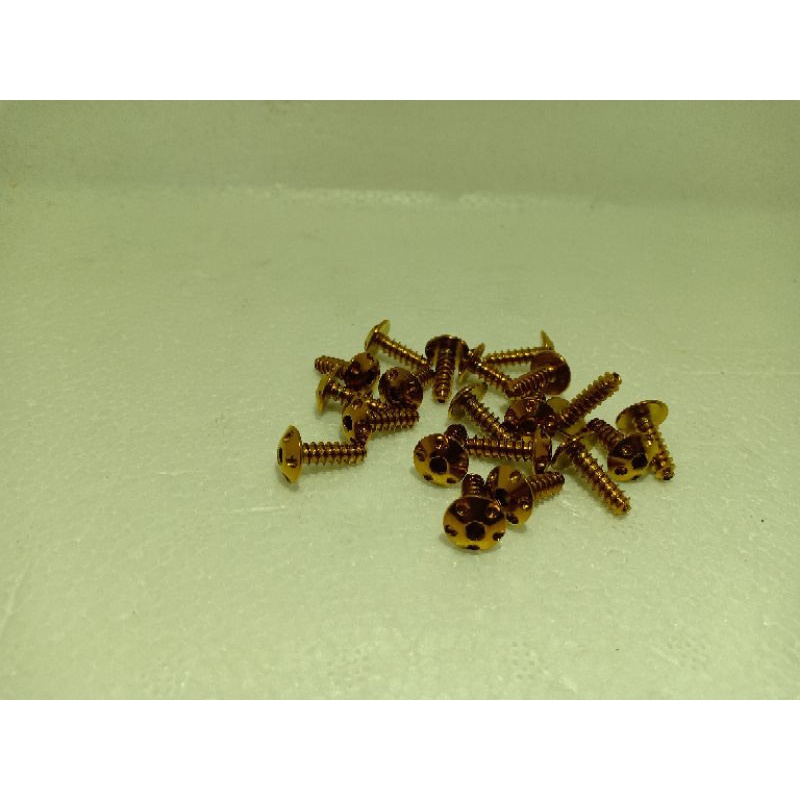 Screw M5 Universal Gold (1pcs) 🔥 🔥 🔥 | Shopee Malaysia