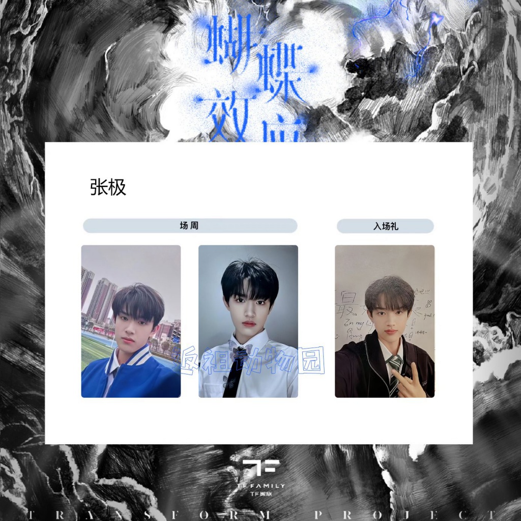TF家族 三代 张极 场周 a款 蝴蝶效应 特典 トレカセット TF家族 三代