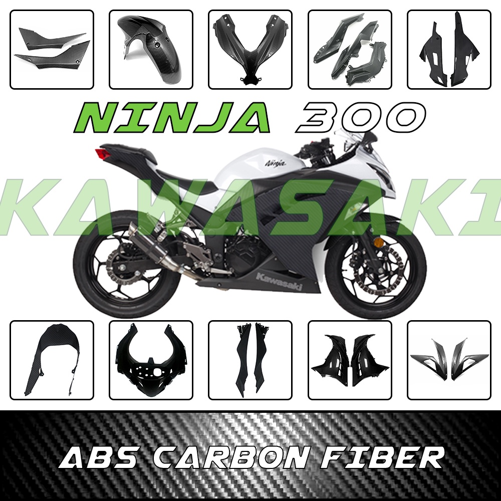 kawasaki ninja 300 plastics