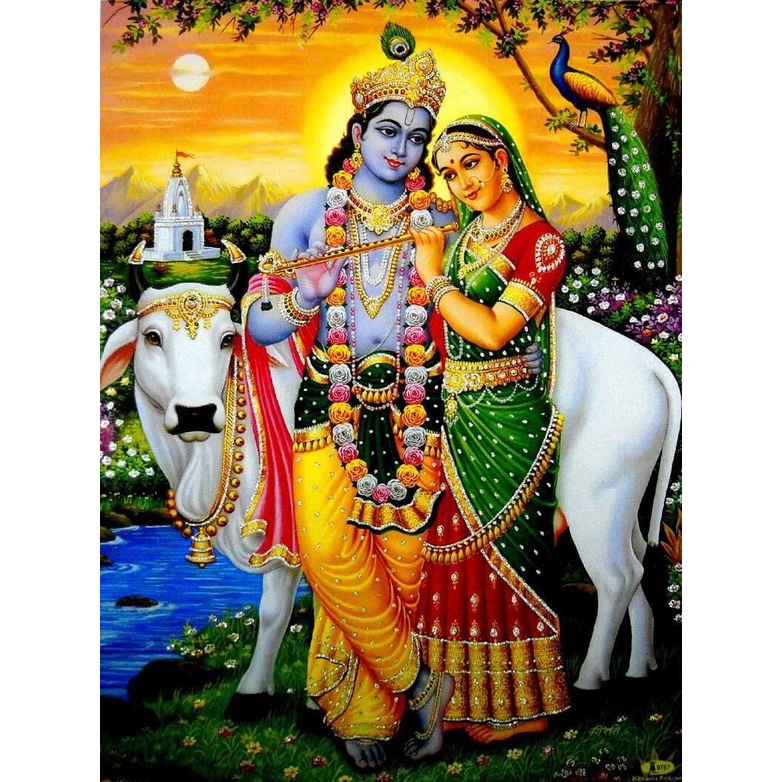 Fluting Radha Krishna Indian God Poster, Flashing Heavy Printing Paper ...