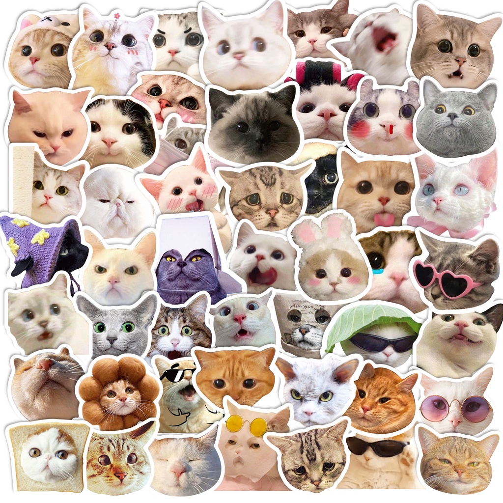 50/100Pcs Cat Stickers Cute Quirky Funny Cat Head Stickers DIY ...