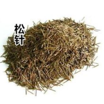 松毛 / 松针 Pine Leaf 100g+- | Shopee Malaysia