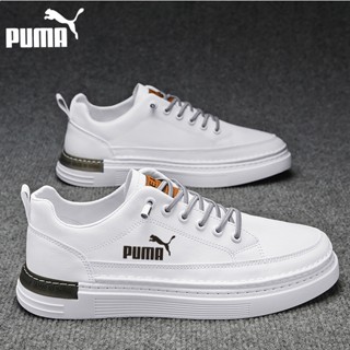 Harga kasut hotsell puma original