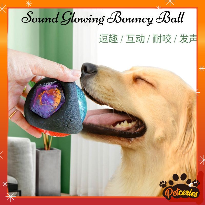 Pet Toys Sound Glowing Bouncy Ball Dog Toys Shopee Malaysia