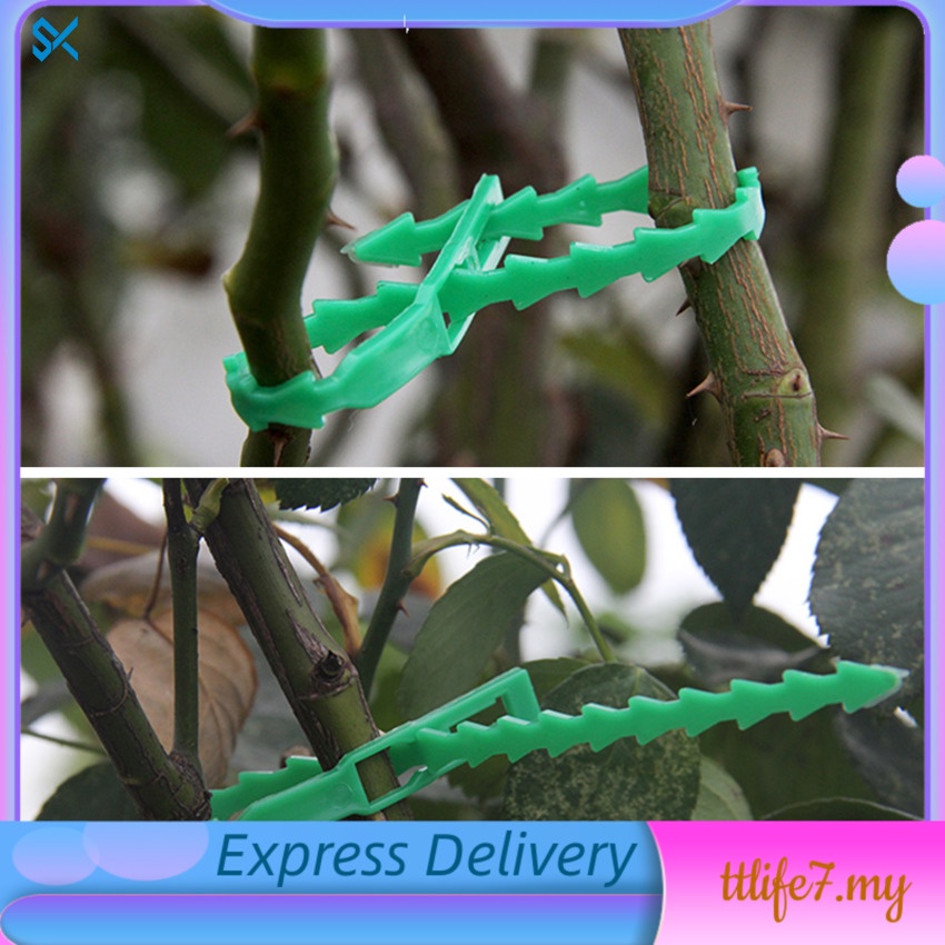100pcs Reusable 13cm Plastic Plant Support Clips clamps For Plants