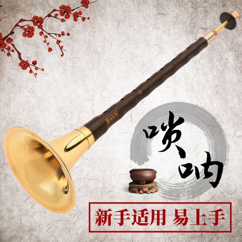 红木黑檀木乌木唢呐乐器全套初学者成人入门D调民族中号吹奏喇叭A Complete Set of Red Wood, Black ...