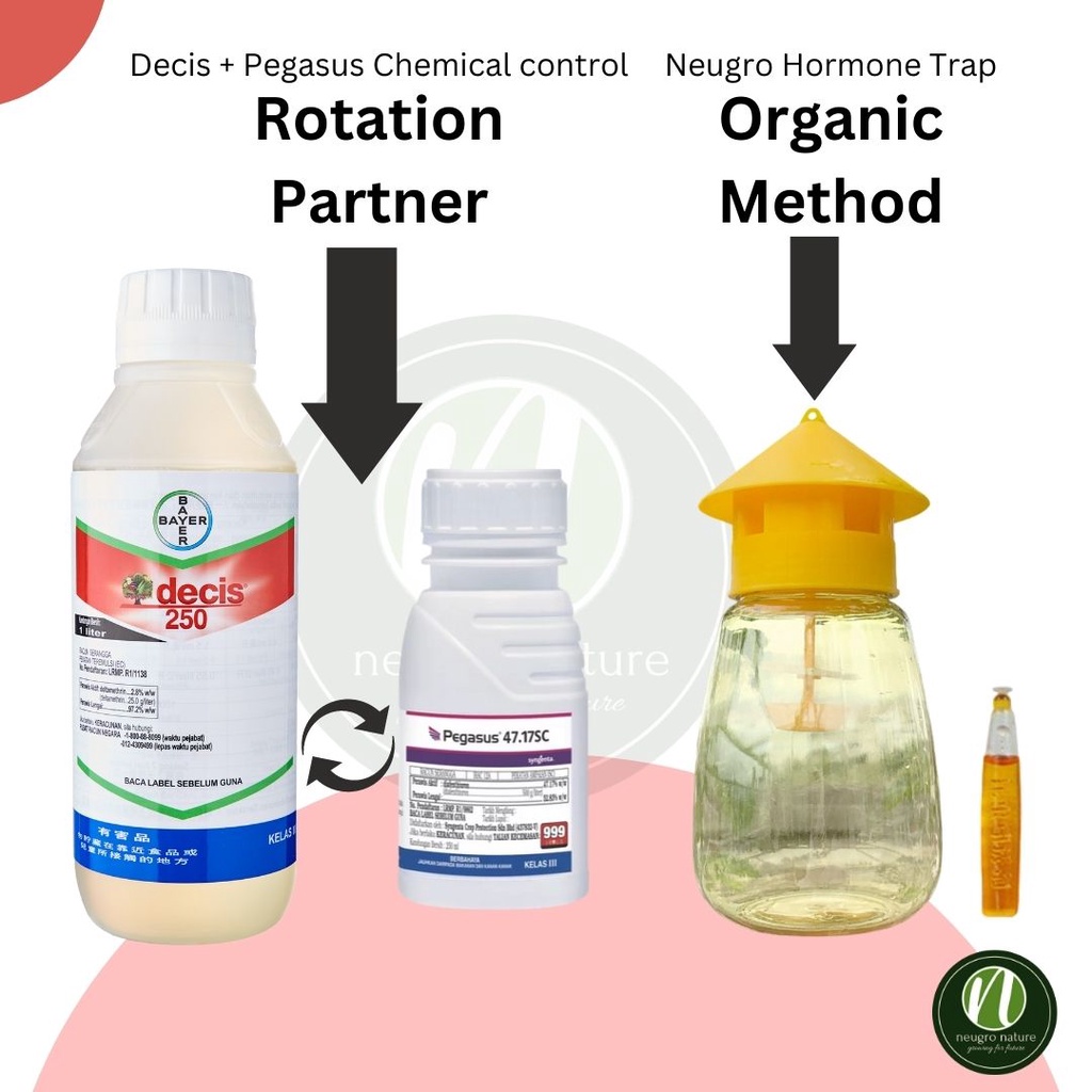 Bayer DECIS 250 Insecticide - Mengawal Lalat Buah /Ulat Penggorek Buah ...