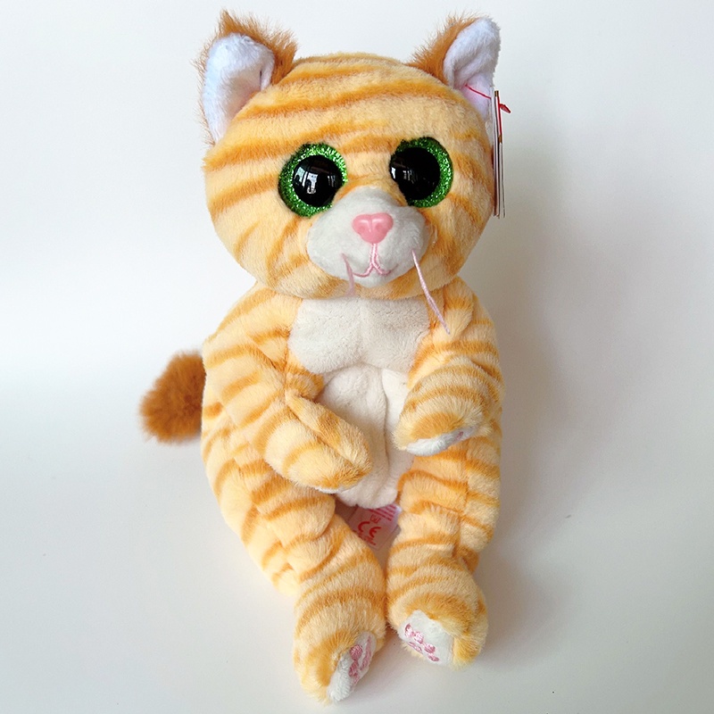 Orange cat best sale beanie boo